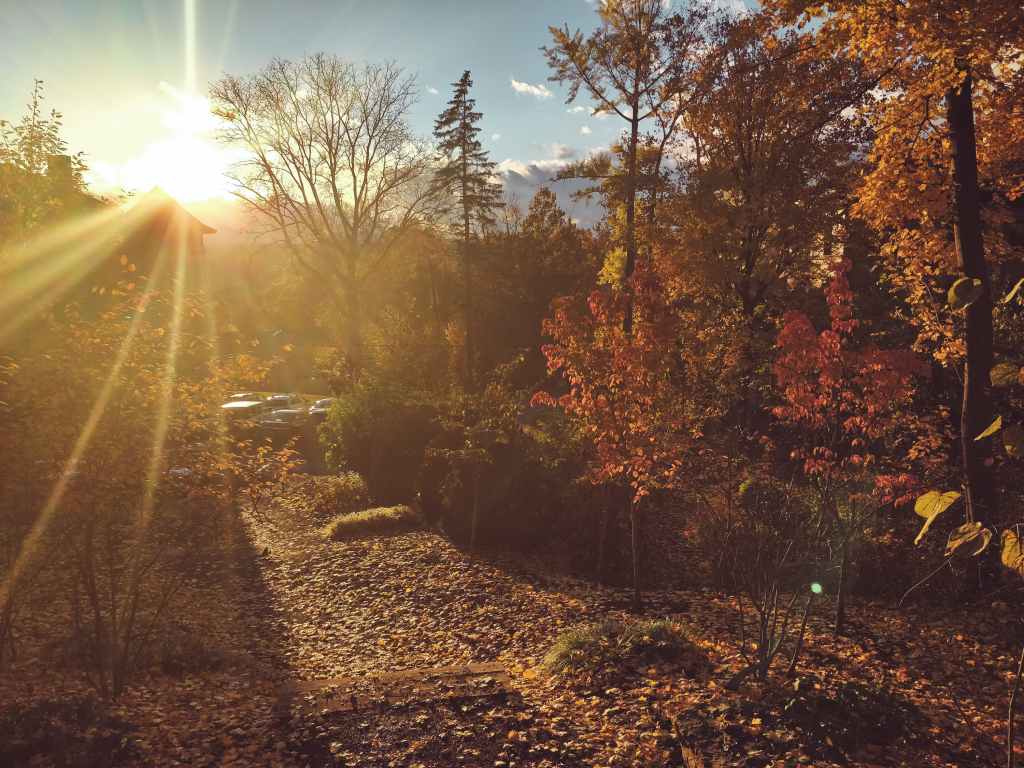 Nouvelle année, nouveau cabinet&nbsp;!